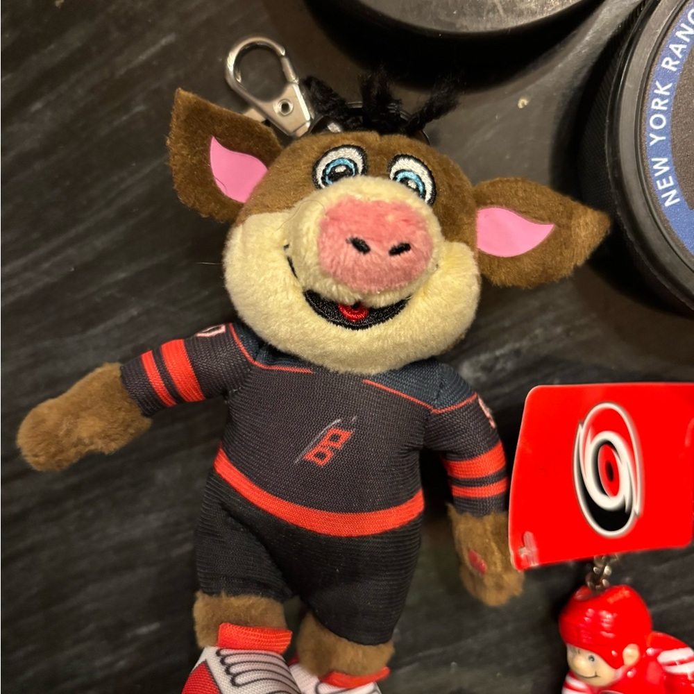 Carolina Hurricanes Hockey Memorabilia Set - Picture 3 of 8